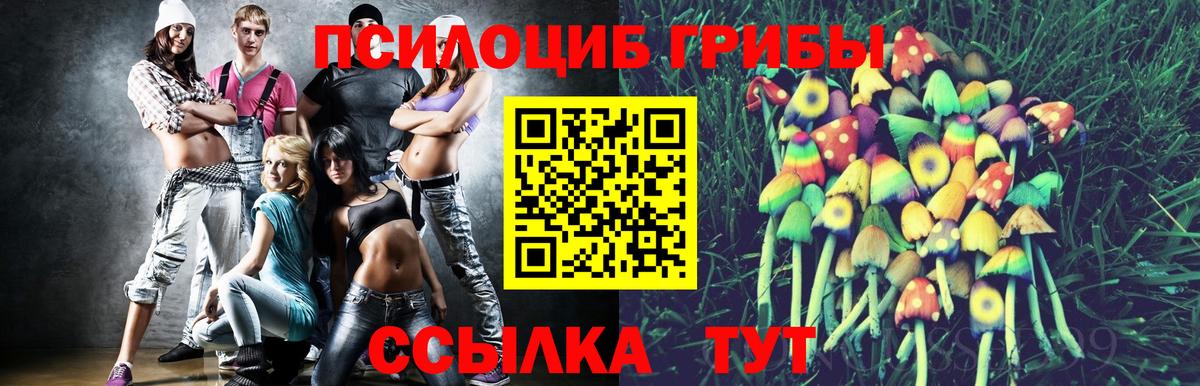 Псилоцибиновые грибы ЛСД  Псилоцибиновые грибы мухоморы  Вход с VPN  купить наркотики сайты  Лениногорск 